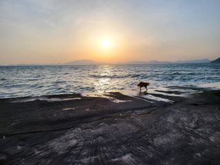 조은정님의 자유주제 · 사진전 작성글 사진