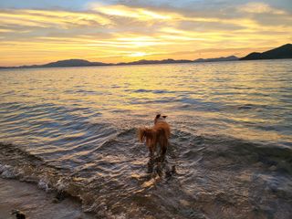 조은정님의 자유주제 · 사진전 작성글 사진