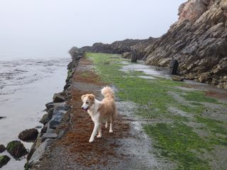 조은정님의 자유주제 · 사진전 작성글 사진