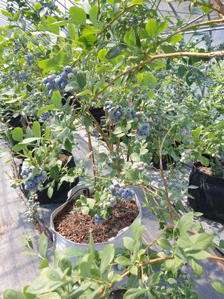 자연인이좋아요님의 작성글 사진