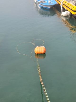 최윤식님의 우리동네 · 동네자랑 작성글 사진