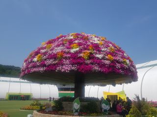 수기님의 자유주제 · 자유게시판 작성글 사진