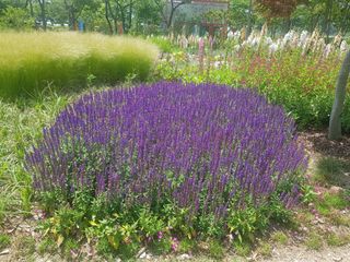 수기님의 자유주제 · 자유게시판 작성글 사진