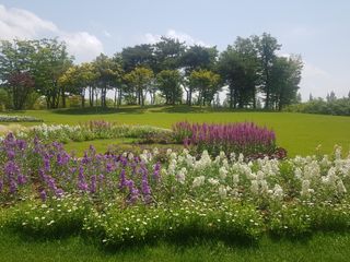 수기님의 자유주제 · 자유게시판 작성글 사진