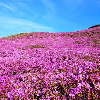 황매산신령님의 우리동네 · 동네자랑 작성글 사진