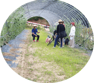 봉화랜드님의 들깨 · 자유게시판 작성글 사진