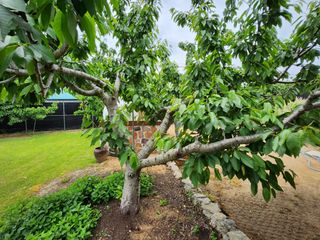 이훈정(시몬)님의 자유주제 · 사진전 작성글 사진