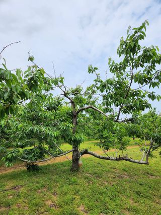 이훈정(시몬)님의 자유주제 · 사진전 작성글 사진