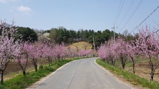 하니수니팜님의 우리동네 · 동네자랑 작성글 사진