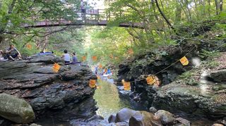 박동주님의 우리동네 · 동네자랑 작성글 사진