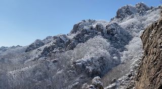 박동주님의 우리동네 · 동네자랑 작성글 사진
