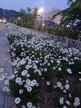 팜모닝 자유주제·자유게시판 게시글 이미지