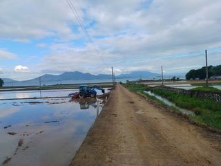 오영도님의 우리동네 · 동네정보 작성글 사진