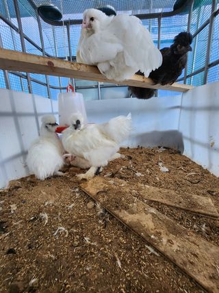 노아님의 기타작물 · 자유게시판 작성글 사진