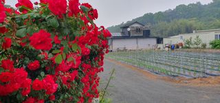 팜모닝회원 성주 님의 자유주제 · 자유게시판 작성글 사진