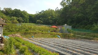 이병옥님의 자유주제 · 자유게시판 작성글 사진