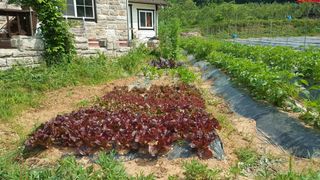 이병옥님의 자유주제 · 자유게시판 작성글 사진