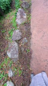 팜모닝 자유주제·사진전 게시글 이미지