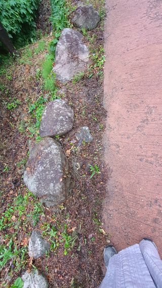 박¿일님의 자유주제 · 사진전 작성글 사진