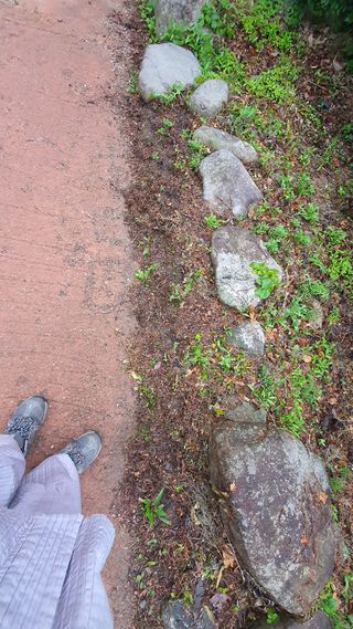 박¿일님의 자유주제 · 사진전 작성글 사진