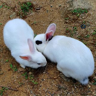 박¿일님의 자유주제 · 사진전 작성글 사진