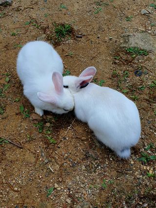 박¿일님의 자유주제 · 사진전 작성글 사진