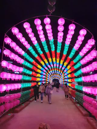 포천인삼농사꾼님의 자유주제 · 사진전 작성글 사진