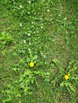 팜모닝 사과·일상 게시글 이미지