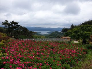 박영숙님의 자유주제 · 사진전 작성글 사진