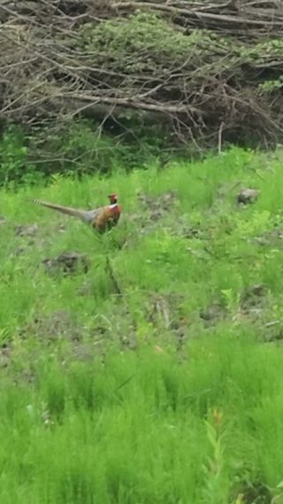 해뜨는농원/강혜광님의 자유주제 · 사진전 작성글 사진