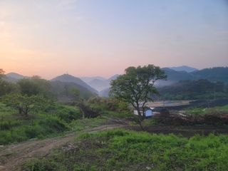 해뜨는농원/강혜광님의 자유주제 · 사진전 작성글 사진