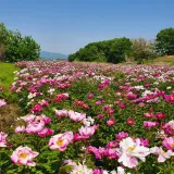 팜모닝 자유주제·자유게시판 게시글 이미지