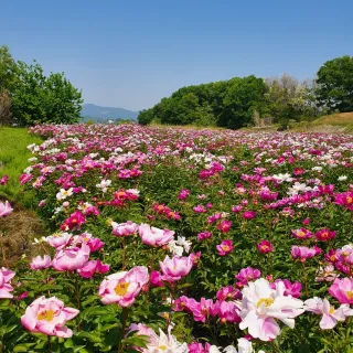 최영수님의 자유주제 · 자유게시판 작성글 사진