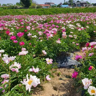 최영수님의 자유주제 · 자유게시판 작성글 사진