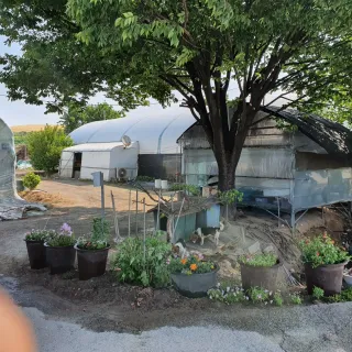 최영수님의 자유주제 · 자유게시판 작성글 사진