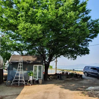 최영수님의 자유주제 · 자유게시판 작성글 사진