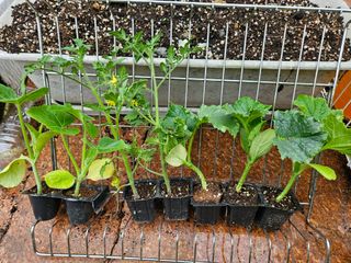 이영재님의 자유주제 · 자유게시판 작성글 사진