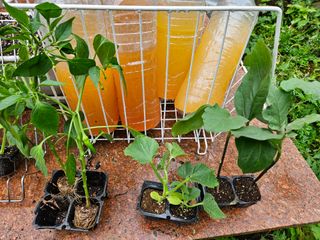 이영재님의 자유주제 · 자유게시판 작성글 사진