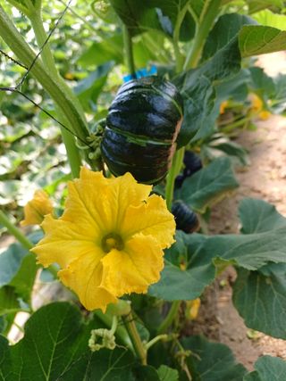 박병은님의 장터이야기 · 자유게시판 작성글 사진