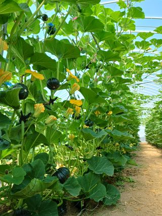 박병은님의 장터이야기 · 자유게시판 작성글 사진