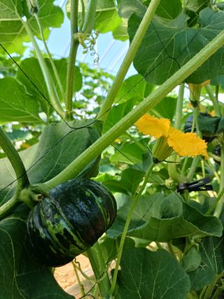 박병은님의 장터이야기 · 자유게시판 작성글 사진