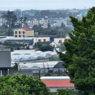 정복자제주빌레왓감귤님의 자유주제 · 사진전 작성글 사진