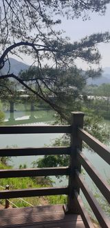 팜모닝 자유주제·사진전 게시글 이미지