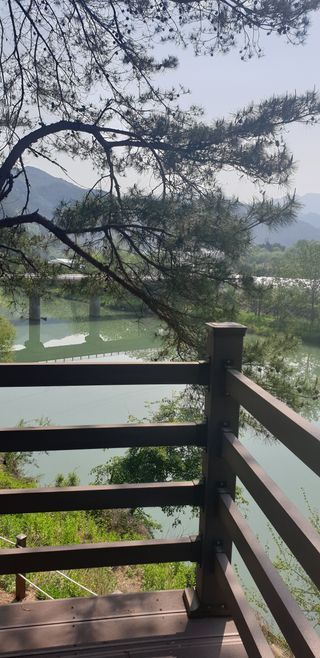 이정화님의 자유주제 · 사진전 작성글 사진