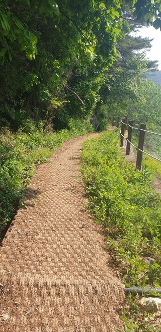 이정화님의 자유주제 · 사진전 작성글 사진