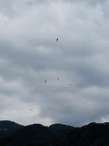 팜모닝 자유주제·사진전 게시글 이미지