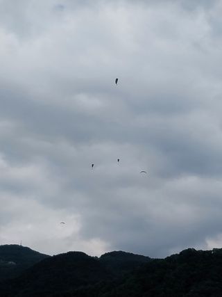 김미정 님의 자유주제 · 사진전 작성글 사진