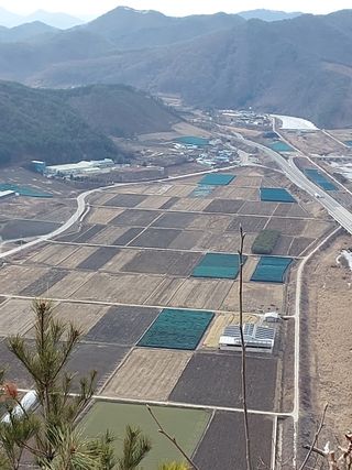 갑중봉황커피사과농장님의 자유주제 · 사진전 작성글 사진