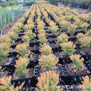 이선미님의 작성글 사진