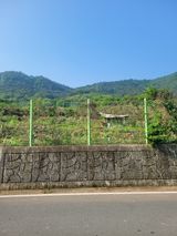 팜모닝 자유주제·사진전 게시글 이미지